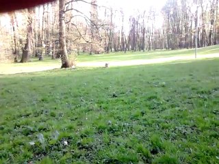 bella aportuje pilke