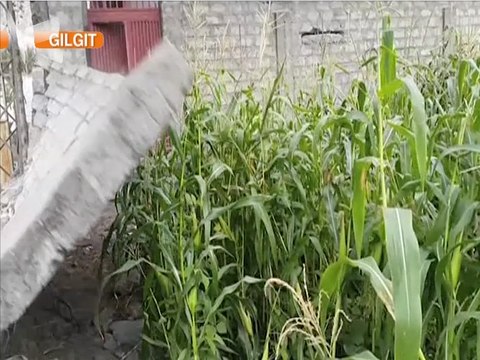 Gilglit Wall Fall During Earthquake - Earthquake magnitude 7.5 hits on Pakistan