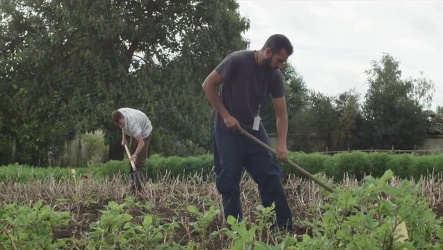 Alain Ducasse au Plaza Athénée - Découvrez la cuisine de la Naturalité