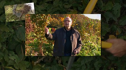 Bande annonce DES RACINES ET DES HAIES