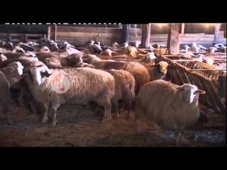 Reforma në vetrinari, Kontrolli i thertoreve jo nga shërbimi veterinar, por nga AKU