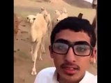Selfie çekmek isterken deveden tekme yedi :)
