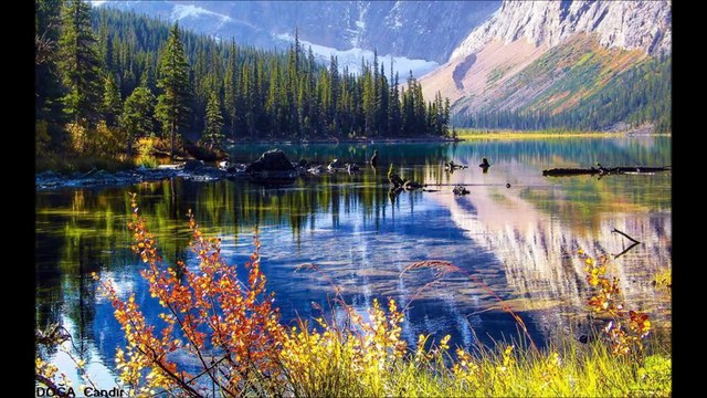 MAHKEMEYE VERSEM SENİ