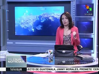 Arrefices de coral, en riesgo de desaparecer por cambio climático