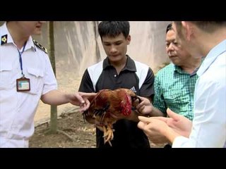 VTV KẾT NỐI | CHÀO SÁNG BÔNG LÚA | 06/10/2015