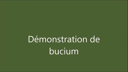 Démonstration de bucium en Roumanie. 2009