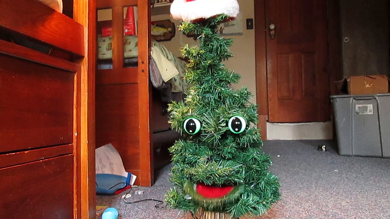 Classic Douglas fir