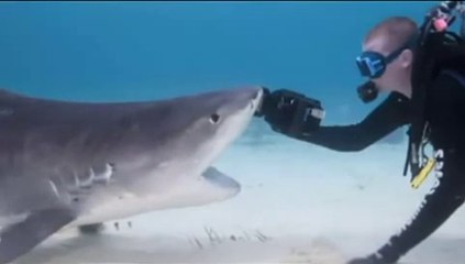 Escucha.....oye....calla y guarda en tu corazón