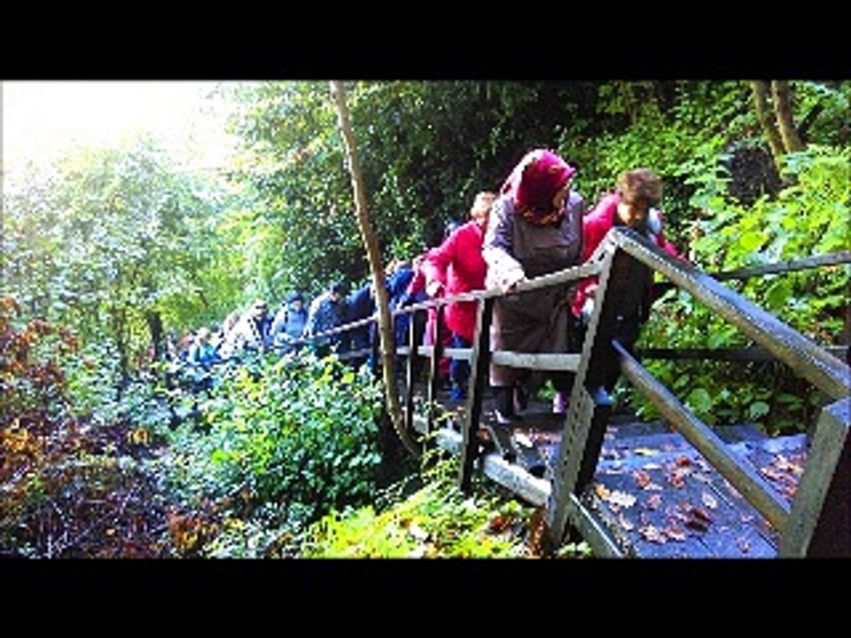 TİN TİN TUR 25 EKİM 2015 PAZAR AMASRA TURU