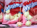 MARSHMALLOW EASTER TREATS Quick & easy white chocolate easter treats party snack or candy