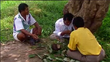 Biopiratería ¡Ahora en Alta Calidad! (Parte 3-5)