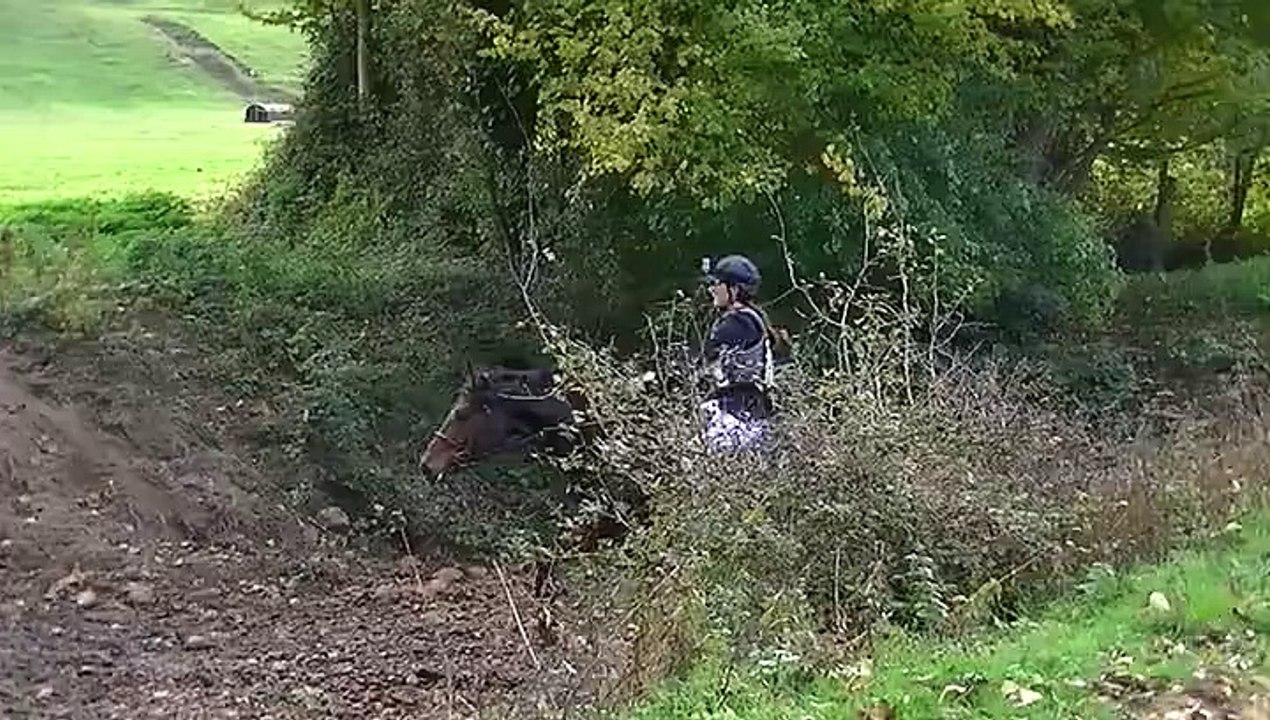 King cross cce club 3 Centre Equestre du Moulin