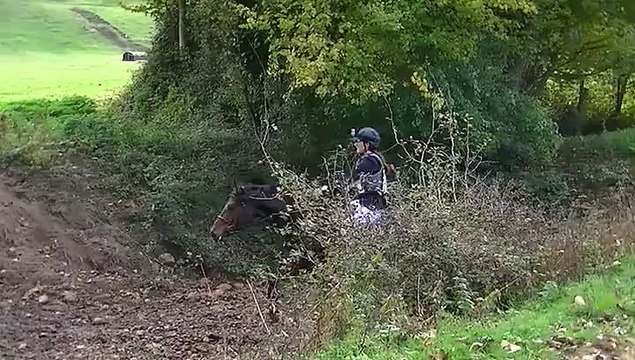 King cross cce club 3 Centre Equestre du Moulin