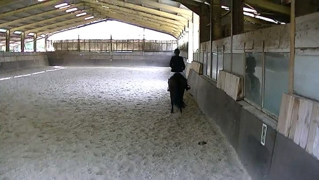 King dressage cce club 3 Centre Equestre du Moulin