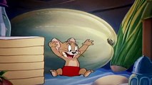 [Short Film comedy] cartoon series Tom and Jerry classic