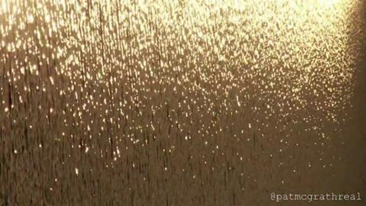 Gold 001 by Pat McGrath-HD