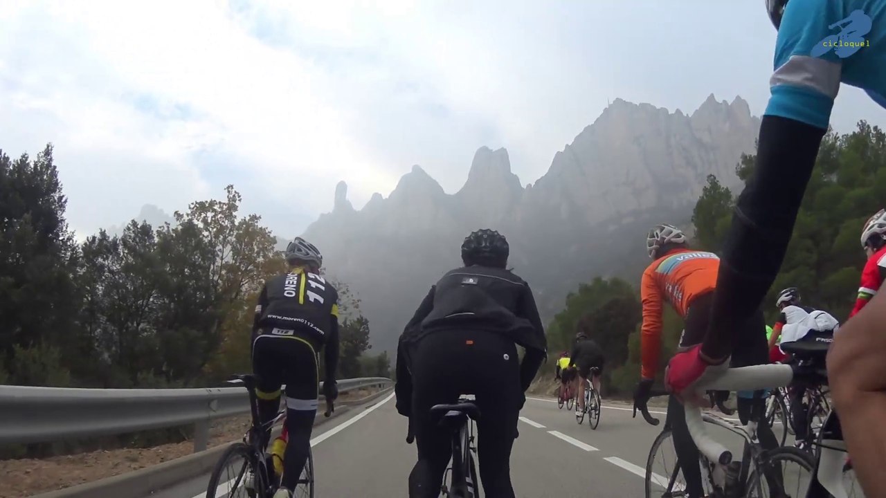Montserratina 2015