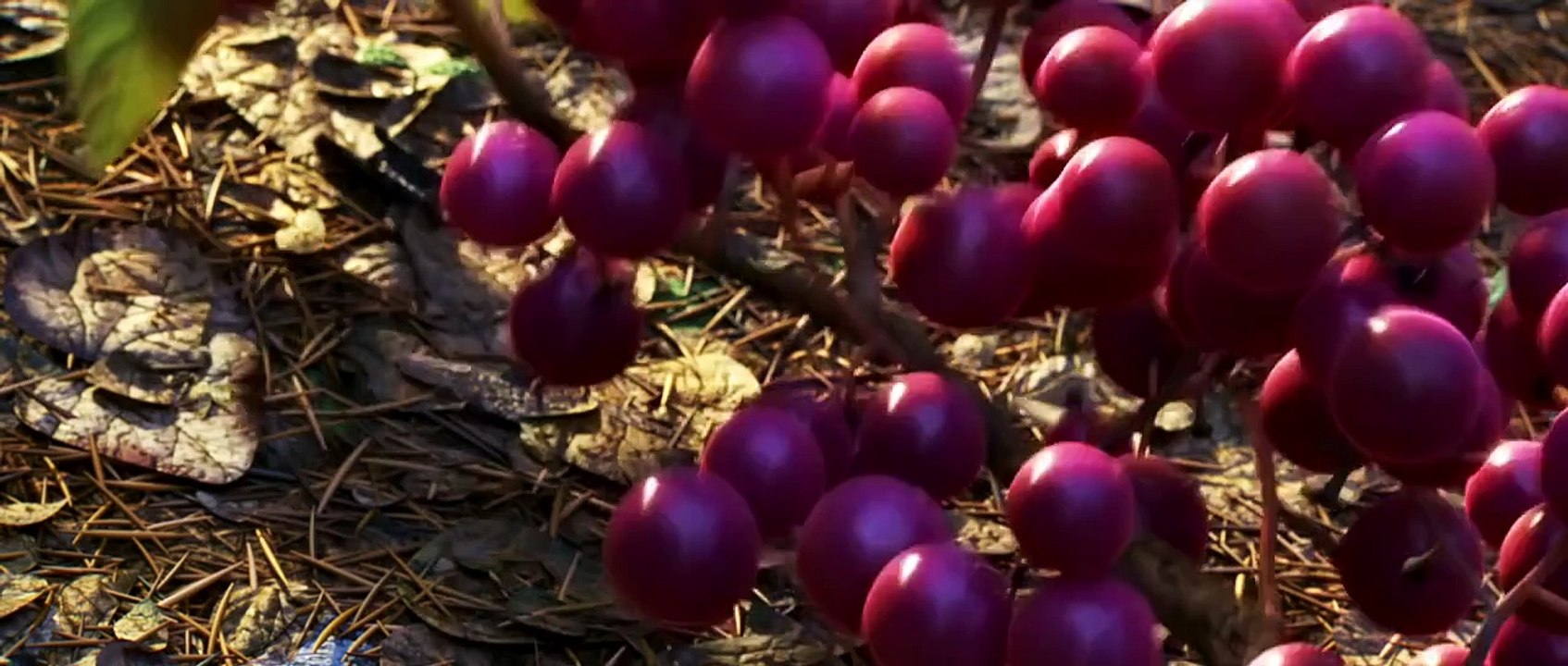 The Good Dinosaur Trailer UK - Official Disney Pixar | HD