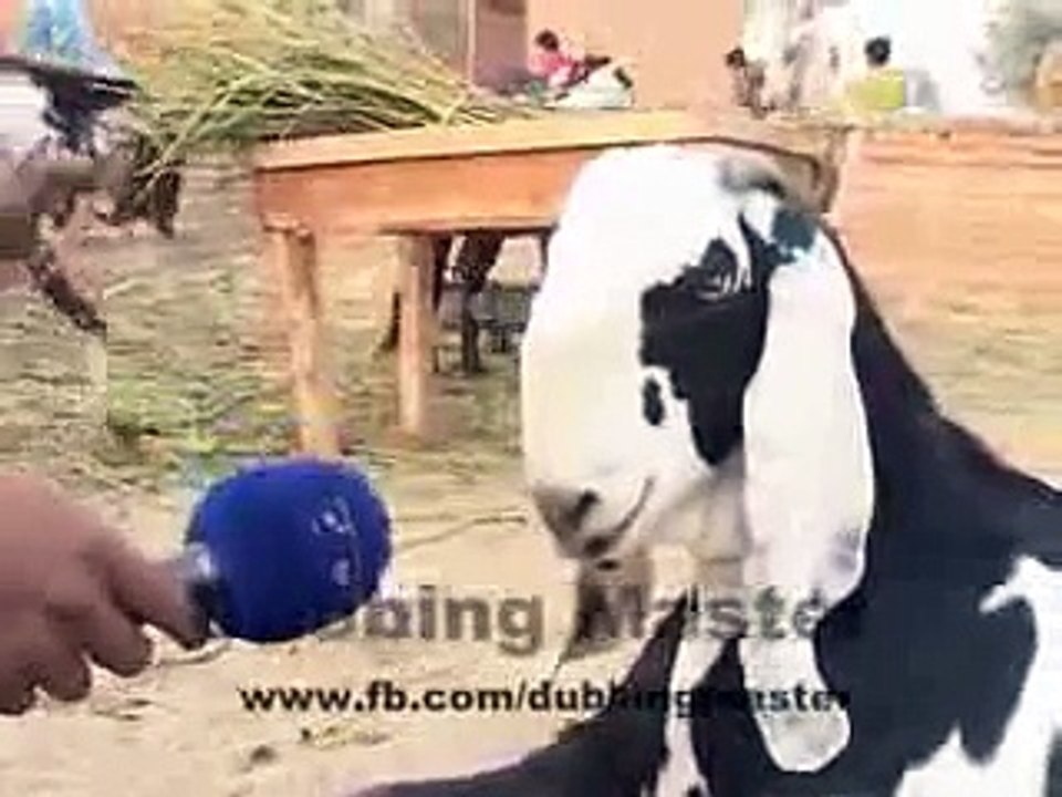 funny punjabi dubbing 2014