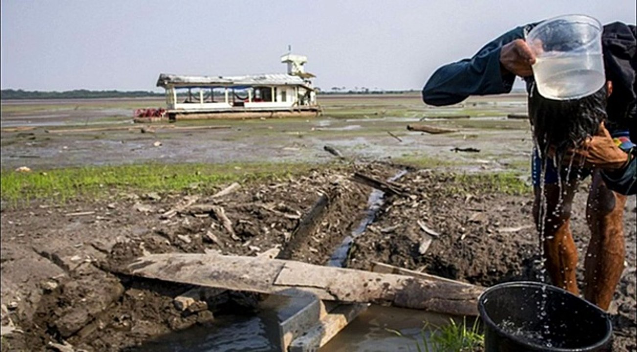 ALERT NEWS Earth Changes_ Amazon Rainforest Drought Devastates Parts of Brazil