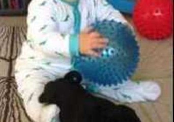 Puppy Tries in Vain to Catch Baby's Attention