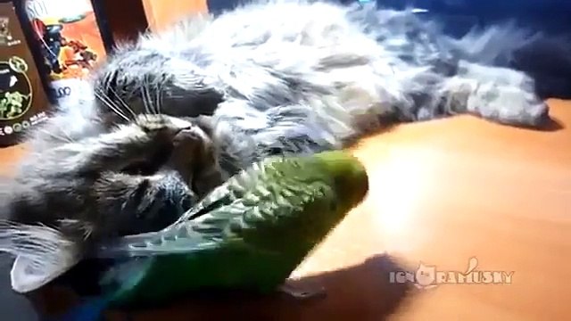 Терпение. Что ты об этом знаешь? Это надо видеть))))