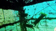 [Element Cams] - [GoPro lặn biển] - Part 1: Bình Hưng