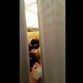 Пьяная россиянка рейса Париж - Москва угрожала полиции Путиным Putin will kill y