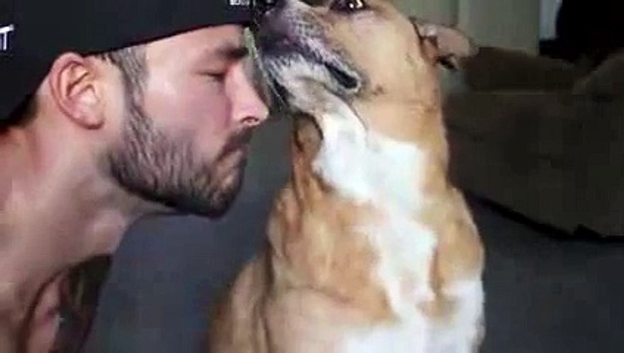Hypnotised Dog Balancing Treats