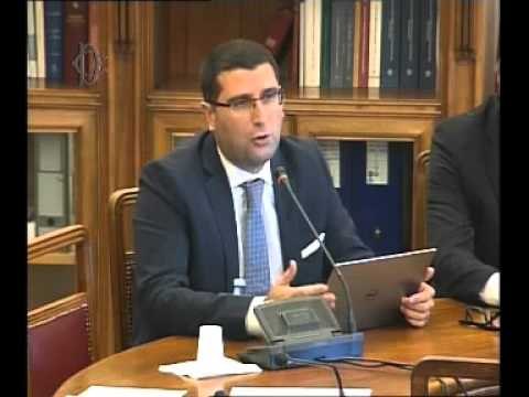 Roma - Audizioni su lavoro autonomo e professionale (26.10.15)