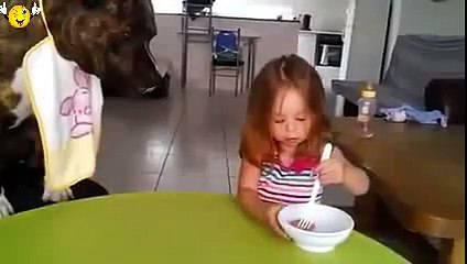 Its dinnertime for this hungry hound