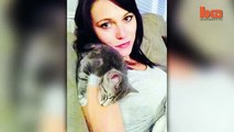 Dog Vs Cat Cute 'Ninja' Kitten Shows Doberman Who's Boss-copypasteads.com
