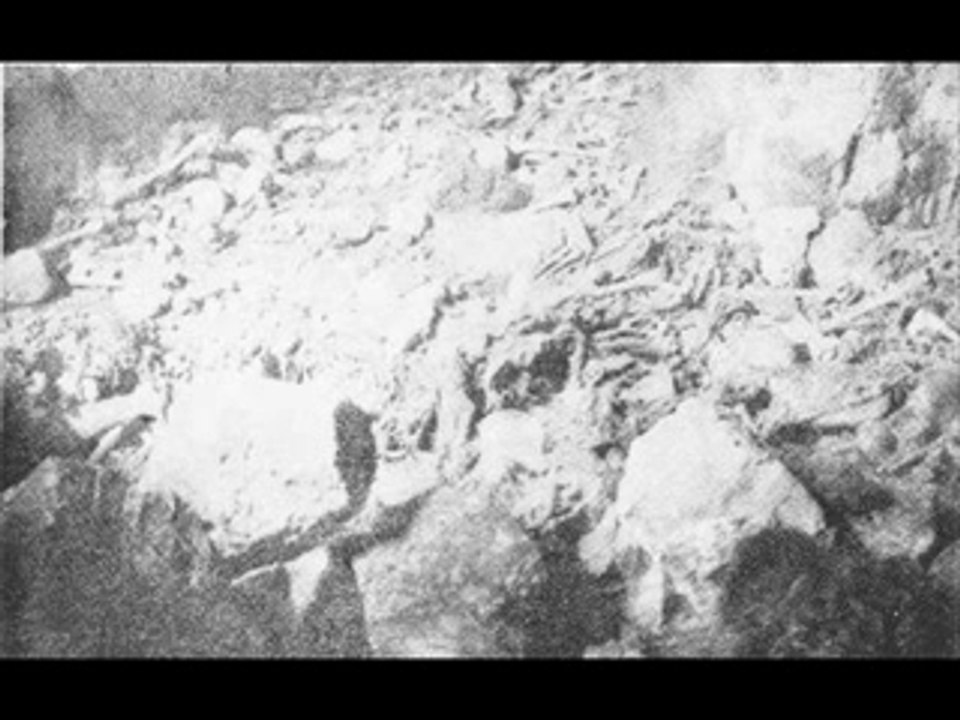 Genocide video
