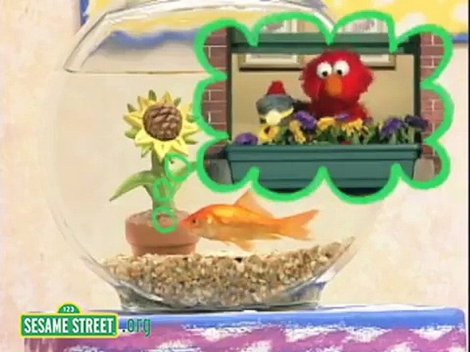 Elmos World Flowers Active Dailymotion Video