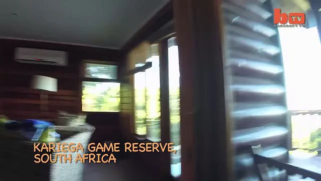 Giraffe Caught On Camera Drinking From Swimming Pool-copypasteads.com