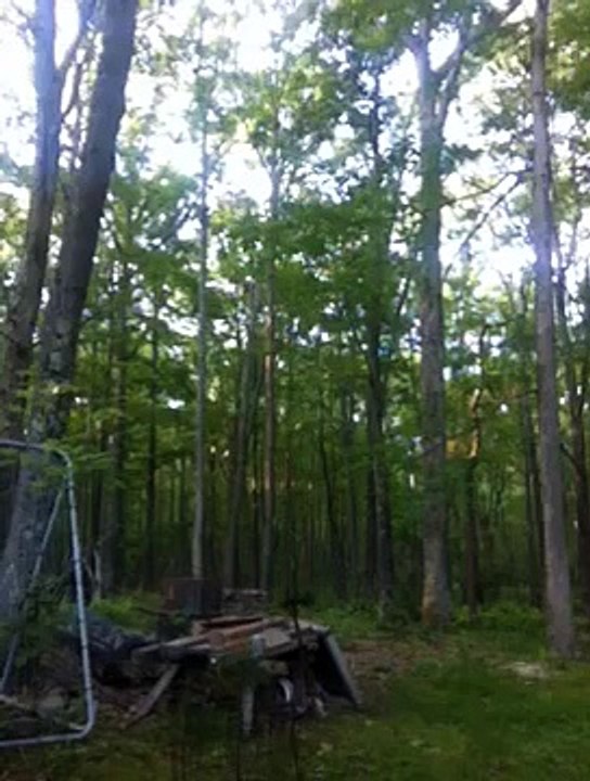 REAL GHOST FOOTAGE! Part 2