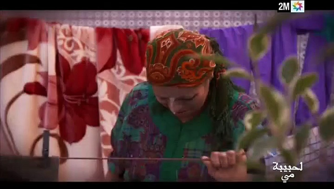 لحبيبة مي : الإثنين 26 أكتوبر