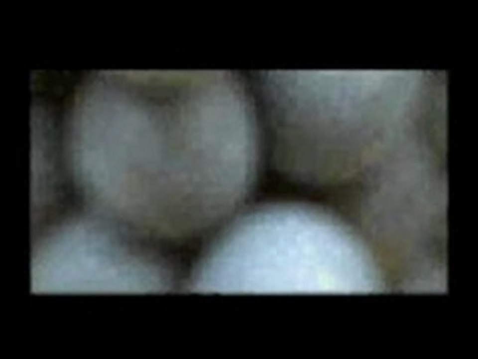 Vigne del monferrato