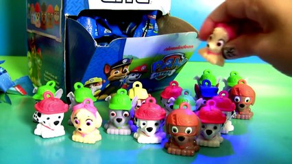 Disney Toys Collection | Paw Patrol Micro Lite Full Case Unboxing Review 40 Blind Bags Opening