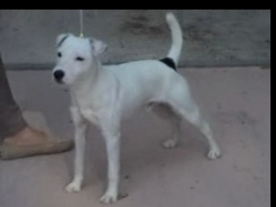 Amigo300407