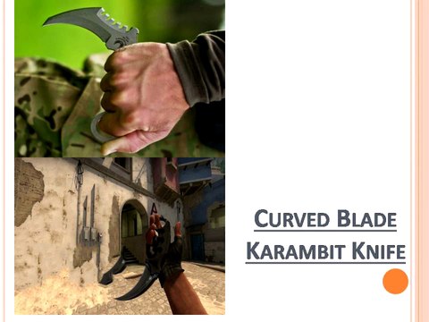 Curved Blade Karambit Knife