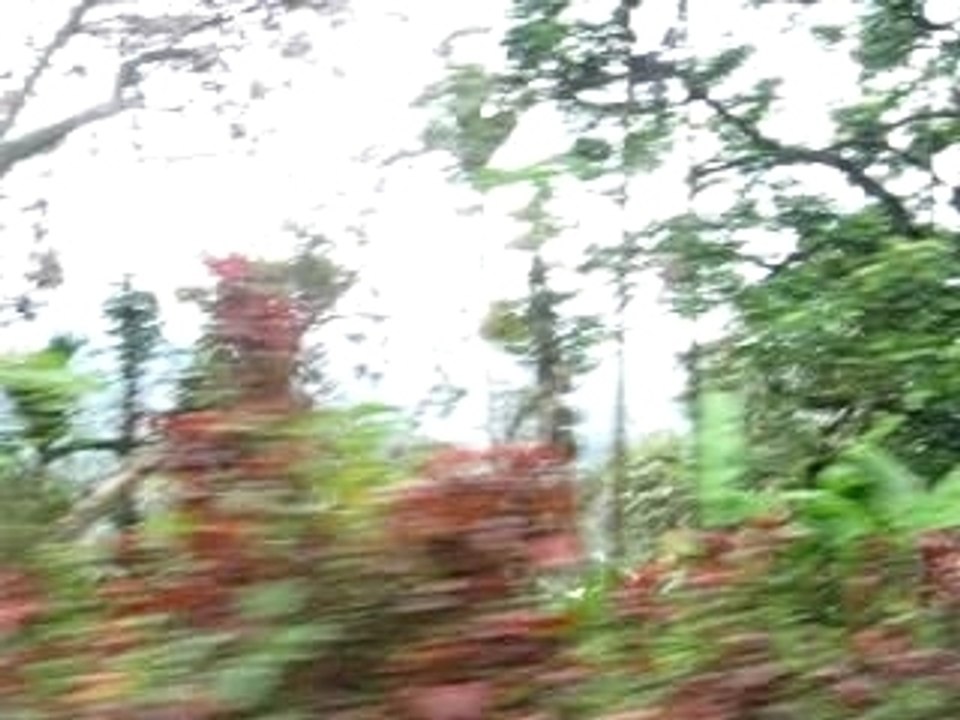 Alishan vidéo musique et paysage