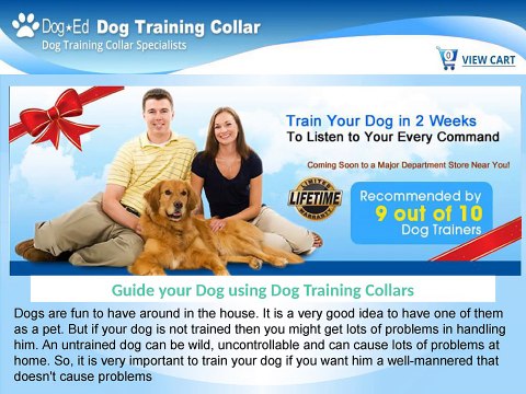 Remote Training Collars for Dogs