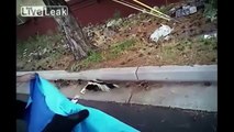 LiveLeak - Cops Rescue Another Skunk In Trouble