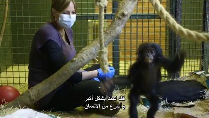 ما الذي يجعلنا بشرًا - أليس روبرتس