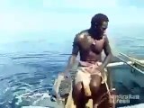 Catch Shark Bare Hands