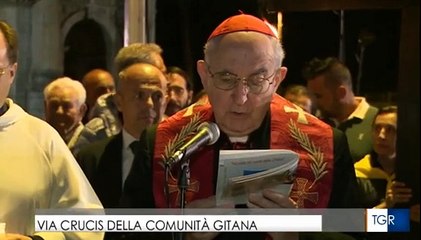 Unitalsi - servizio al pellegrinaggio dei gitani a Roma