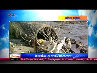 CHÀO BUỔI SÁNG - 30/06/2015