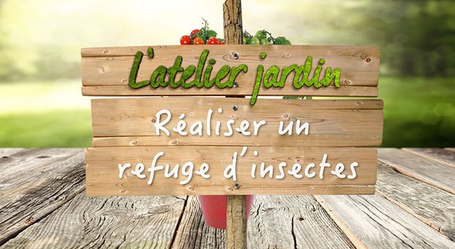 Comment réaliser un refuge d'insectes ?