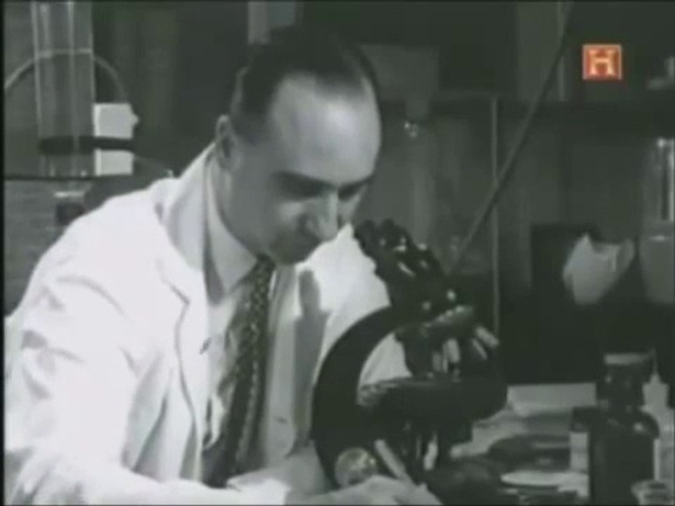 Documental Los Pioneros Psicodélicos